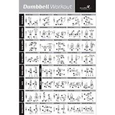 dumbbell workout exercise poster laminated strength