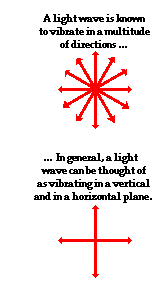 Physics Tutorial Polarization