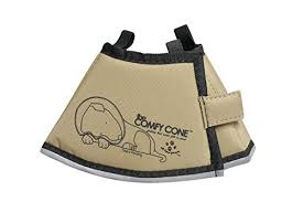 Comfy Cone All Four Paws The Pet Recovery Collar