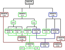 A Flow Chart Of Patients Disposition At 3 Month And 6 Month