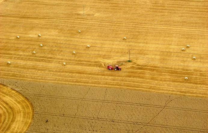 Britain's best farmland destroyed under Net Zero madness as enough food to feed  200,000 vanishes