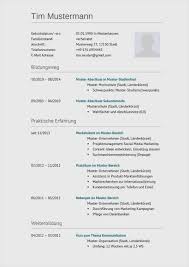 Wzór cv po angielsku pomija kilka. 19 Angenehm Lebenslauf Englisch Vorlage Ebendiese Konnen Adaptieren In Ms Word Dillyhearts Com