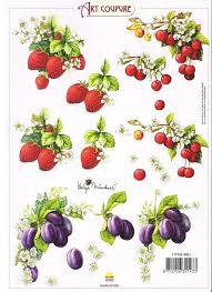 Fruit L Art Du Fruit Broderie Sur Carte Peinture