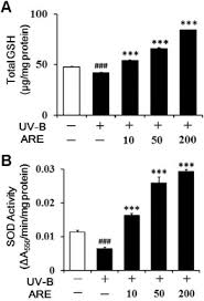 Afişează oug 68/2019 privind reorganizarea guvernului romaniei pe o singură. Attenuating Properties Of Agastache Rugosa Leaf Extract Against Ultraviolet B Induced Photoaging Via Up Regulating Glutathione And Superoxide Dismutase In A Human Keratinocyte Cell Line Sciencedirect