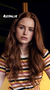 Do Not Disturb Freida Mcfadden Character Art