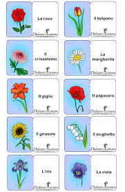 Vuoi inviare fiori a nomi? Nomi Fiori