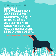 See more of felicidades papa on facebook. Mensajes De Felicitaciones Adoptar Un Perro Frasescumple