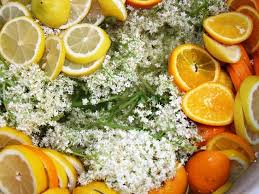 Holundersaft Bzw Sirup In Osterreich Auch Hollersaft Genannt Schnell Selbst Zubereiten Das Rezept Der 5 Thermenwel Holundersaft Hollersaft Rezept Holunder