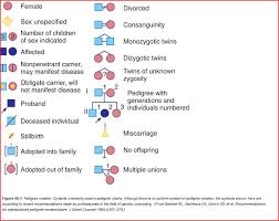 Symbols Commonly Used In Pedigree Charts Pedigree Chart