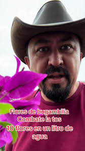 Como Hacer Coronas De Flores De Bugambilias Con Otras Flores