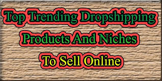 Reasons modalyst is one of the best shopify dropshipping apps. Pin On Top Profitable Niches Of 2020