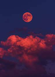 More ideas from red moon. Blood Moon Poster By Mizuyart Displate