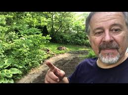 I found a cistern in my back yard.