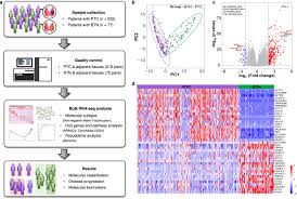 Distinct molecular subtypes of papillary thyroid carcinoma and gene  signature with diagnostic capability | Oncogene