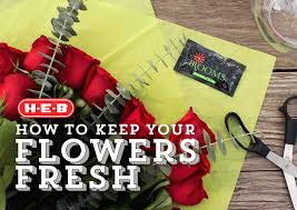How to keep flowers fresh longer. How To Keep Flowers Fresh Longer 5 Steps H E B