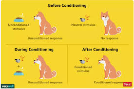 Chapter 4 Learning Memory And Nostalgia Diagram Quizlet