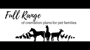 Homeward bound pet memorial care, indianapolis, in. Homeward Bound Pet Memorial Care Home Facebook