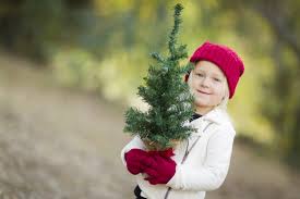 We did not find results for: Oh Christmas Tree 9 Places To Cut Your Own Tree This Season