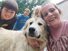 Lost Cat Found in Onslow County, North Carolina