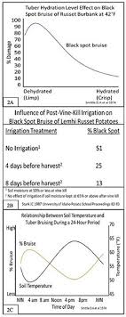 Blackspot Bruise In Potatoes 5 621 Extension