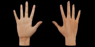 Low Poly Female Hand 3d Asset Cgtrader Our ultimate male hands pack, features 11 x retopologised male hands. low poly female hand 3d model