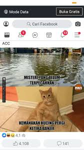 Meme Lucu Kucing Kebanjiran Kucing Meme Funny