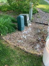 And simply press the record button. Gardening Around The Electrical Box Miss Mustard Seed
