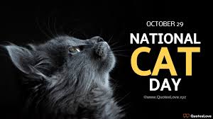 Check spelling or type a new query. 25 Best National Cat Day 2021 Quotes Sayings Messages Images Poster Photos Pictures