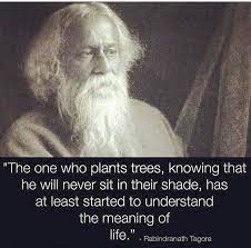 Pin By Mary Anne Swindle On Quotes Life Ideas Trees To Plant Meditation Music Best Inspirational Quotes