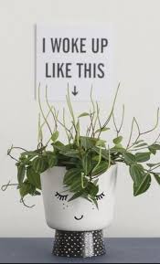 Pin On Funny Gardening Quotes And Pictures