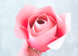 Tissue paper folds in multiple colors. Giant Paper Flowers How To Make Paper Garden Roses With Step By Step Tutorial