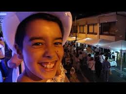 Oliveira de Azeméis, Concelho de Oliveira de Azeméis