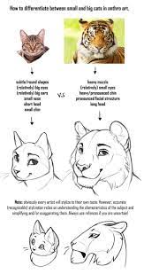 Bigger than he bargained for: Zeichnungen Twitter 1 Twitter Zeichnungen Animal Drawings Furry Drawing Animal Sketches