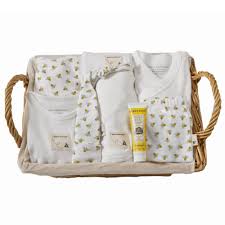 Burt S Bees Baby Organic Take Me Home Basket 3m Cloud Walmart Com