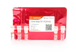 The data processing is based either on standard curves or on pcr efficiency assessment. One Step Rt Pcr Kit Canvax Biotech