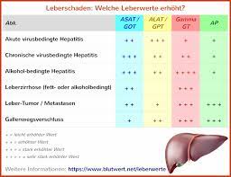 Laborwert Alat Alt Erhoht Zu Hoch
