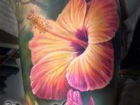 Hibiskus tattoo, pflanzen tattoo, blumen tattoo vorlage, tattoo vorlagen, hibiskus. 8 Hibiskus Tattoo Ideen Hibiskus Tattoo Blumen Tattoos Hibiskus
