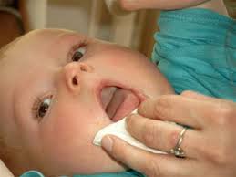 Im alter von einem jahr haben die meisten babys sechs zähne. 264 Zahne Vom Baby Putzen