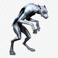 In this universe the werewolf is another intelligent race rather than a cursed human, something like the orc or the minotaur. Harry Potter Werewolf Drawing Hd Png Download 560x768 239011 Pngfind