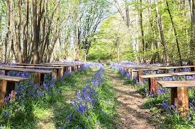 New To Coco Fernandfield In Kent Has A Choice Of Stunning Locations For Your Wedding Celebrations Includ Wedding Venues Uk Kent Wedding Venues Field Wedding