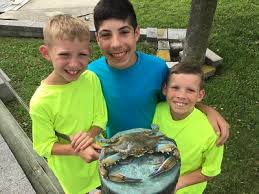 Contact maryland blue crabs on messenger. Blue Crab Program