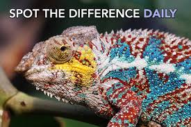 As easy as playing puzzles on the paper. Spot The Difference Games Puzzles Smithsonian Magazine