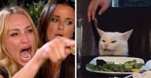 This Woman Yelling At A Cat Meme Is Still My Favorite Thing On The Internet Most Popular Memes Cat Memes Social Media Ruins Relationships