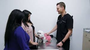 You can see how to get to dunbar animal hospital on our website. Local Vet Appears On Pop My Pet News Championnewspapers Com