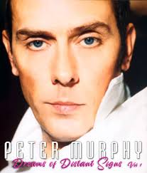 Peter Murphy Music CDs for sale