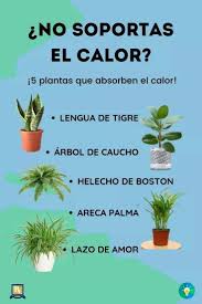Pin En Jardineria