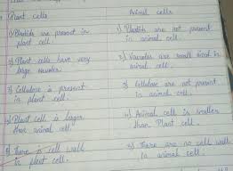 As observed in the labeled animal as you read the information on each organelle, refer to the animal cell diagram for better clarity. Draw A Well Labelled Diagram Of Plant And Animal Cell Write Atleast Five Differences Between Them Brainly In