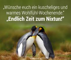 20 Lustige Bilder Mit Sprüchen Zum Wochenende