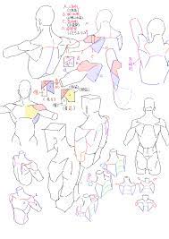 练习 肩部简化 wumingxuan520のイラスト in 2020 body reference drawing art reference photos drawing reference body reference drawing art reference photos art reference