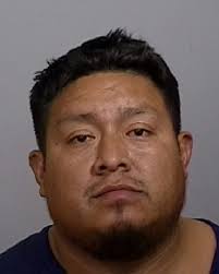 Nearly 20 new Manatee County Jail arrests mugshots